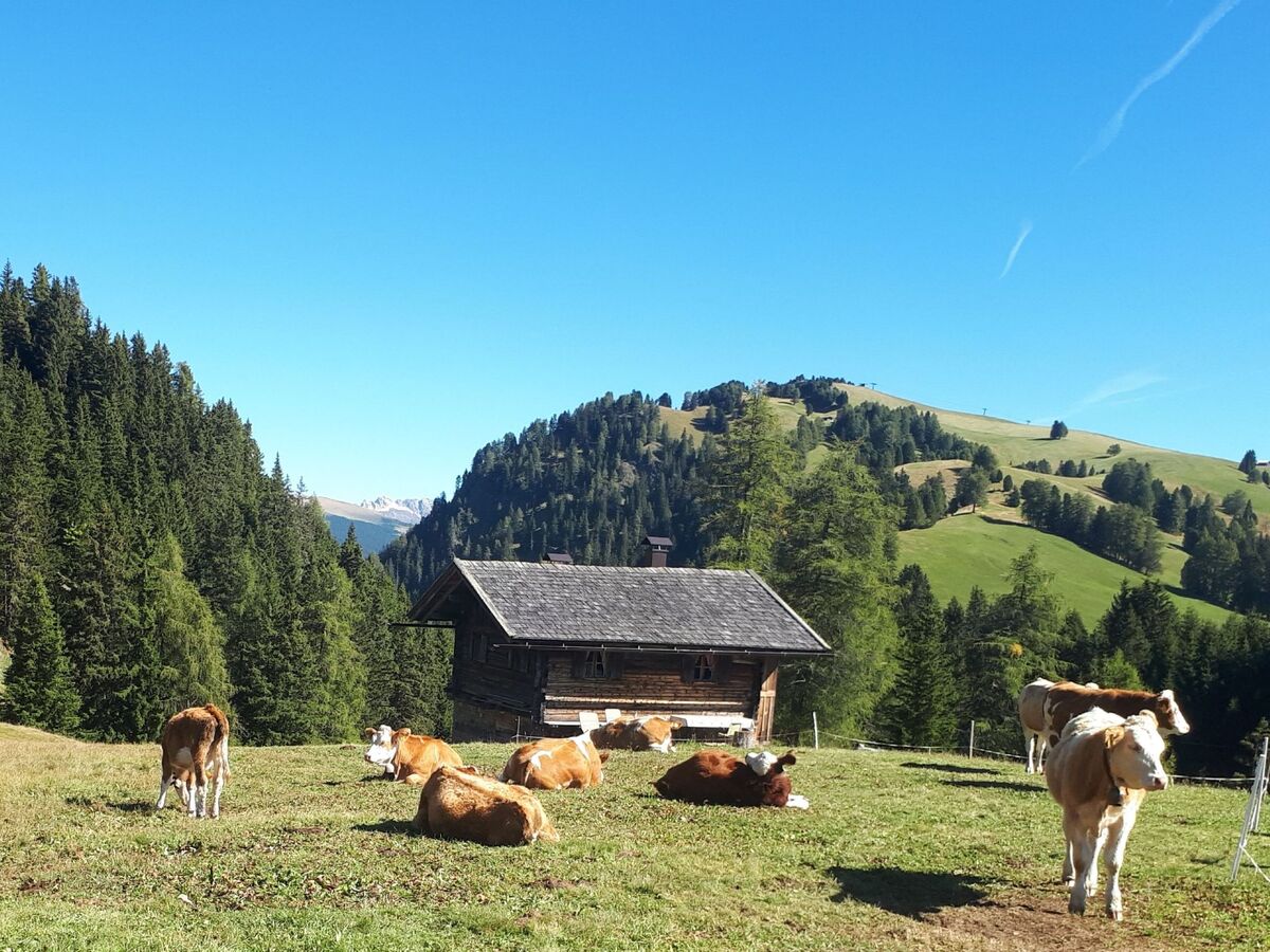 Kompatscherhof – Appartement familial à la ferme - Photo 20
