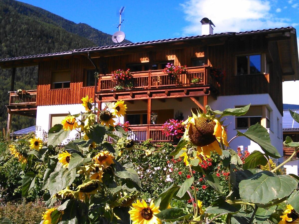 Appartement à la ferme avec terrasse couverte, Aldein - Photo 2