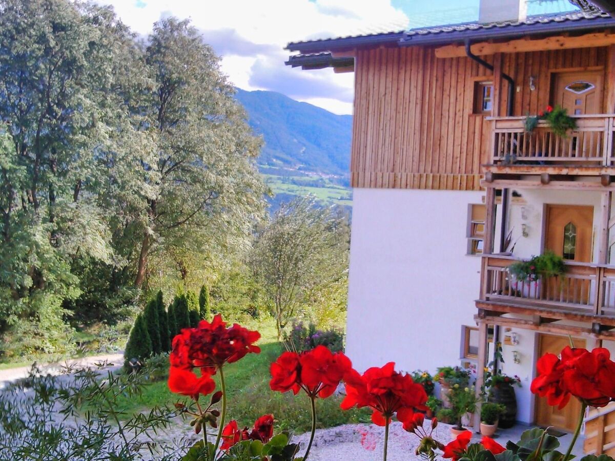 Appartement à la ferme avec terrasse couverte, Aldein - Photo 8