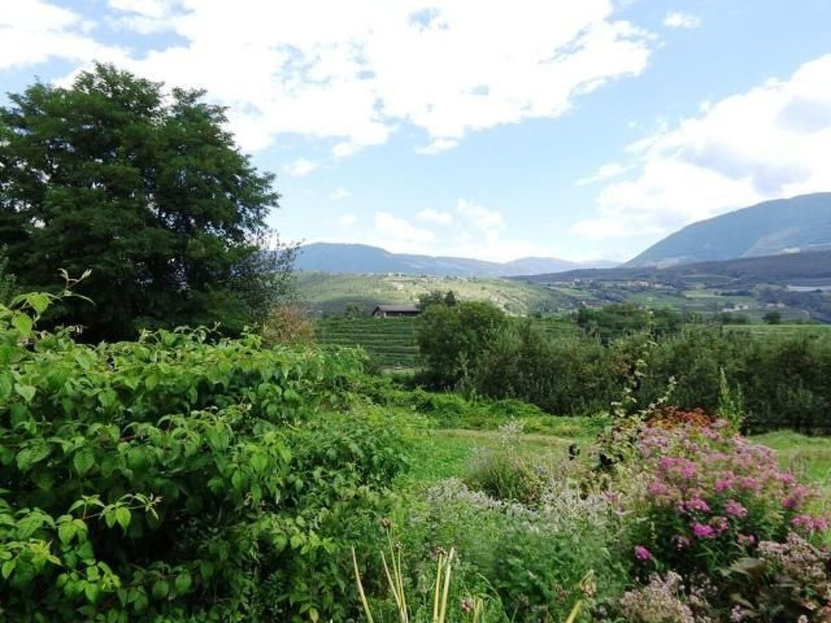 Appartement à la ferme avec terrasse couverte, Aldein - Photo 16