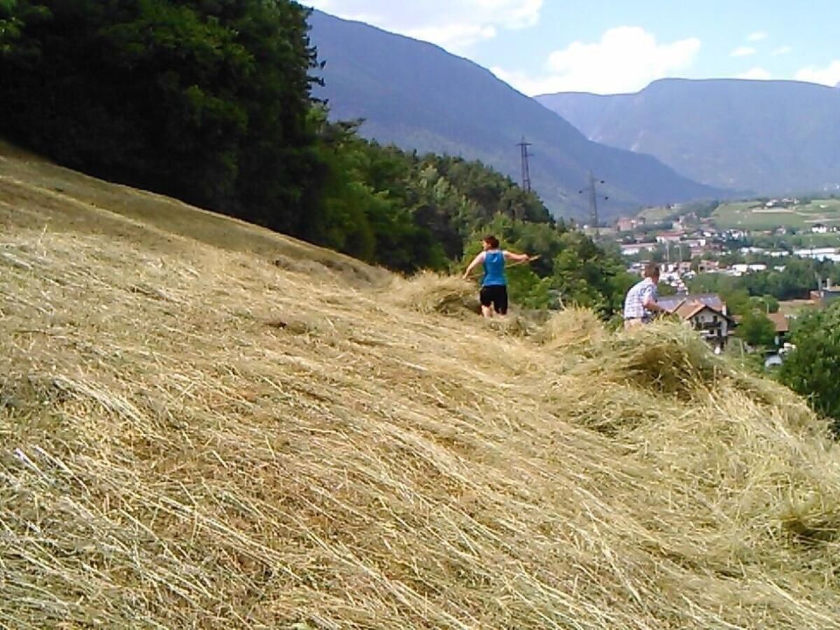 Appartement à la ferme avec terrasse couverte, Aldein - Photo 19