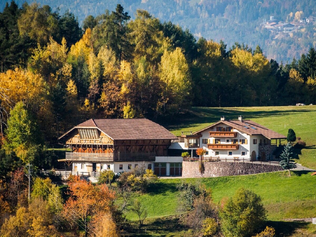 Appartement 2 chambres à Aldein, vue Dolomites - Photo 4