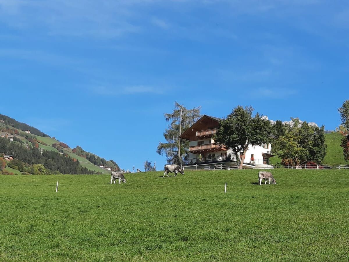 Appartement Tera à Aldein, au cœur des Dolomites - Photo 4