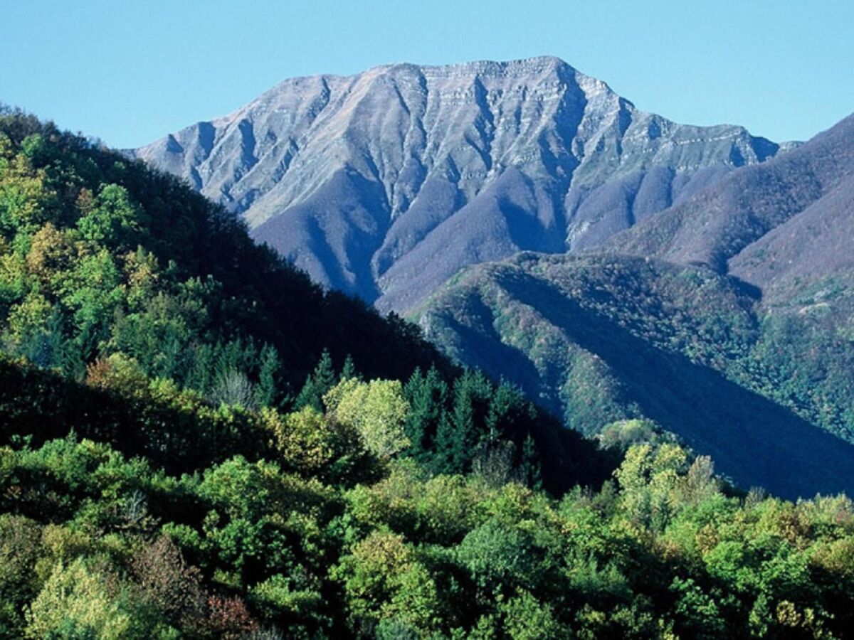 Maison mitoyenne avec jardin et vue montagne - Photo 34
