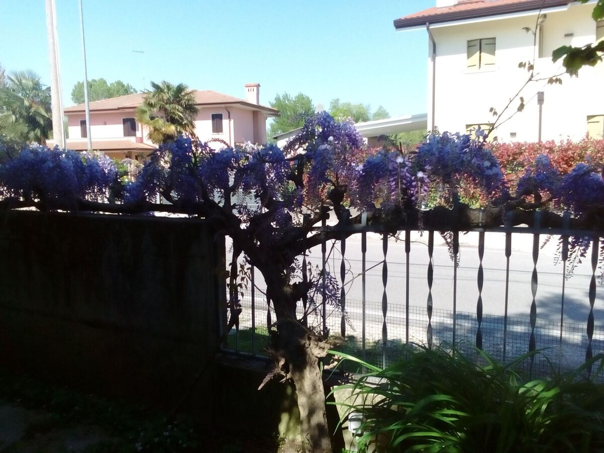 Appartement 75 m² jardin clos, 9 personnes près Bibione - Photo 6