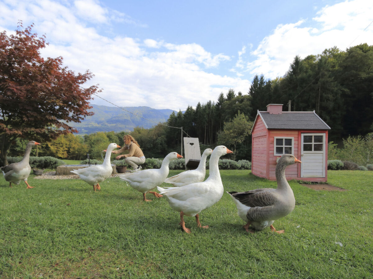 Duck's Cottage à Feltre, 10 pers., 3 chambres - Photo 38