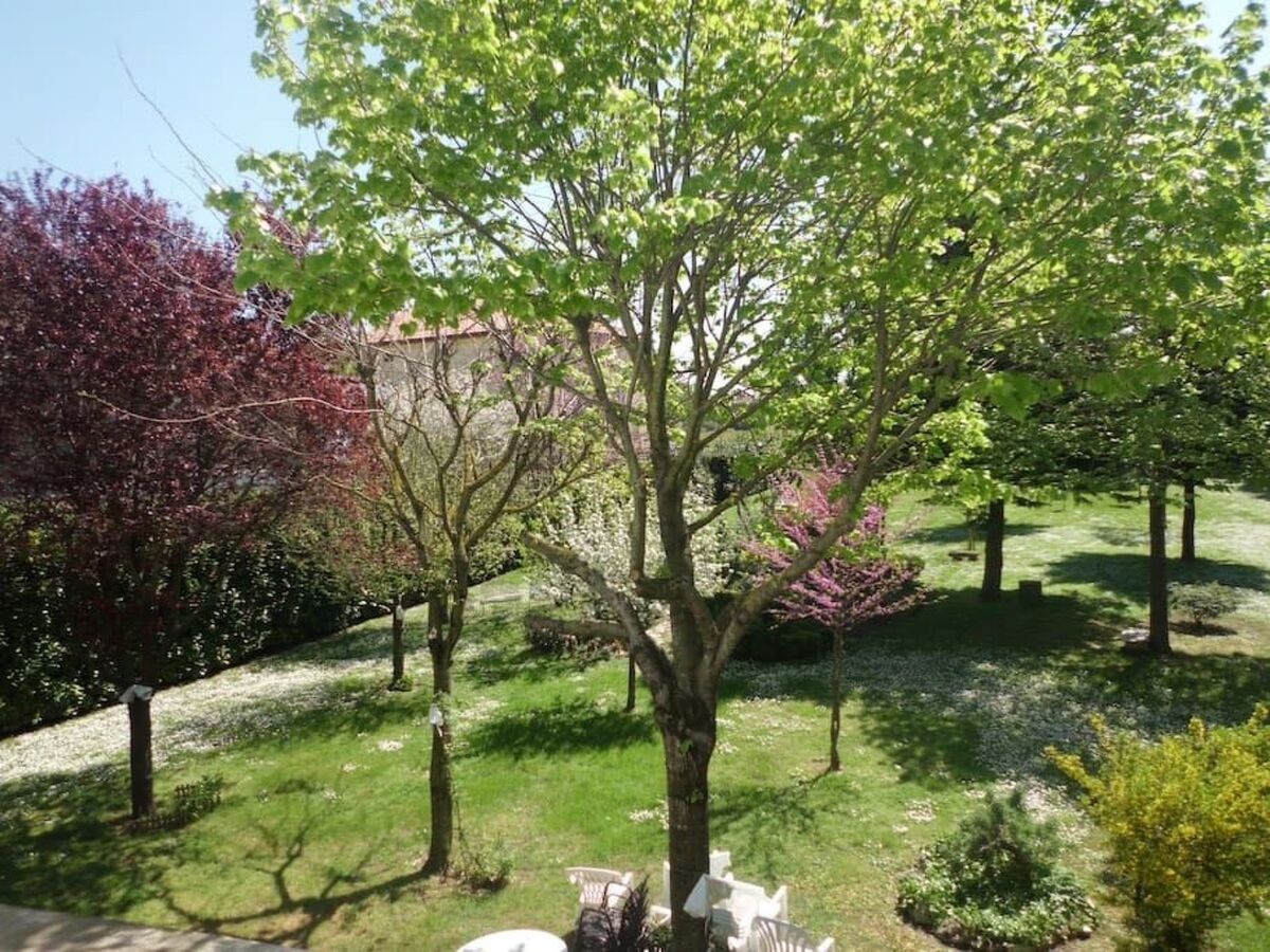 Appartement 3 chambres avec veranda et parc privé à Viserba - Photo 5