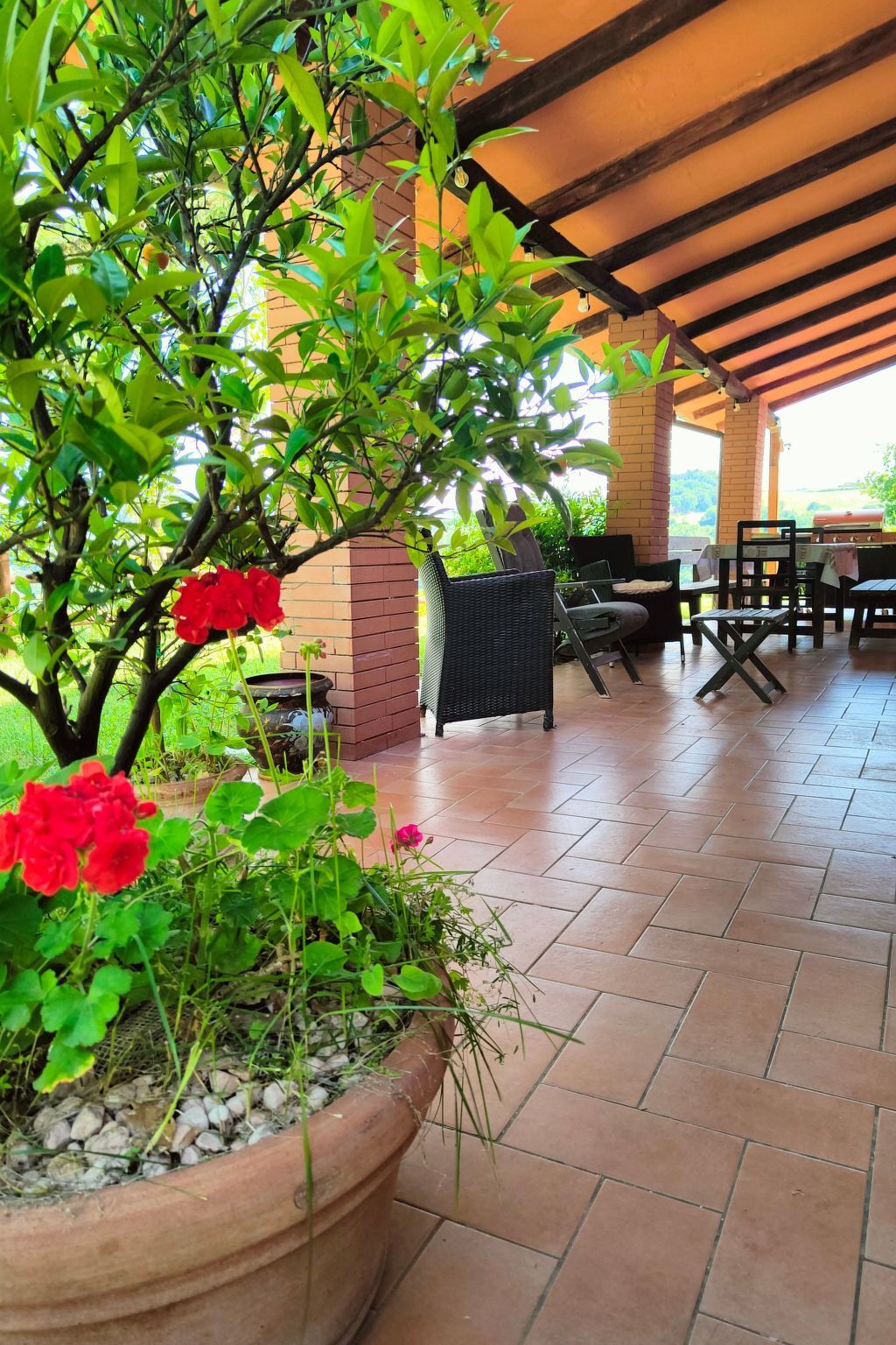Villa Tenuta Quaranta Olivi avec piscine à Montescudo - Photo 13