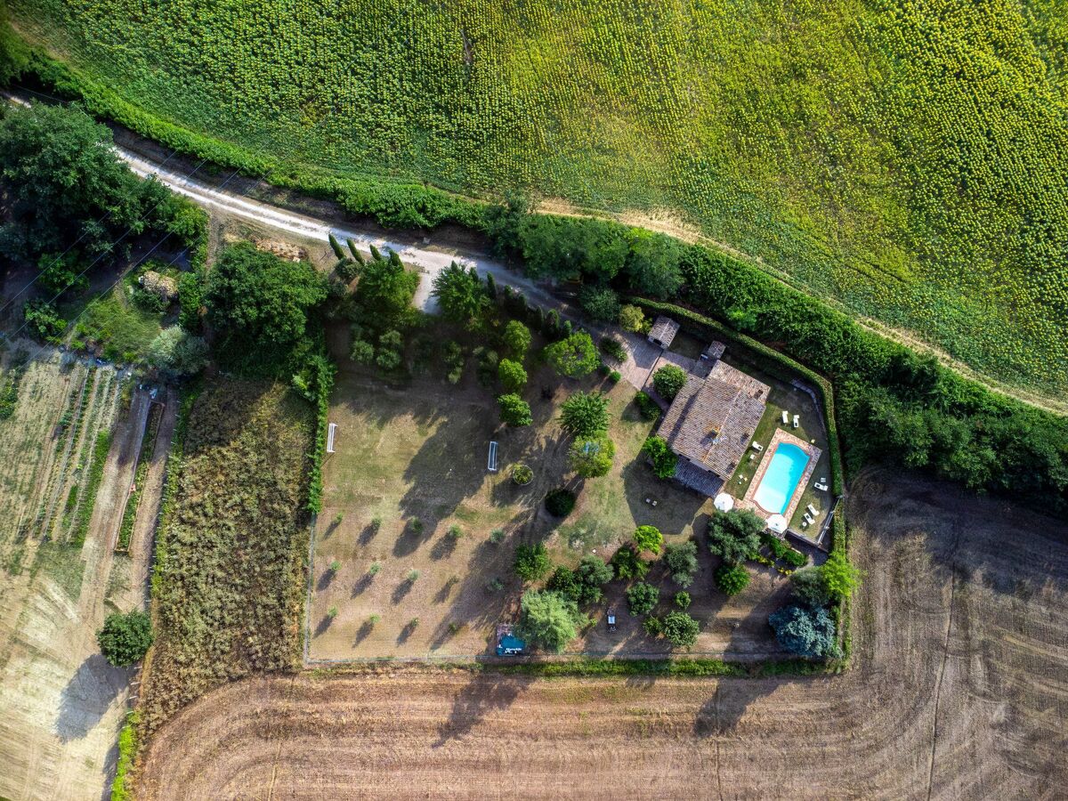 La Girolima, maison 8 pers. piscine privée à Mondavio - Photo 38