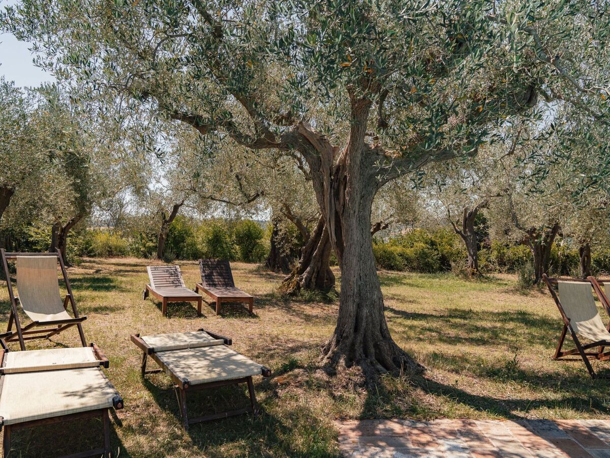 Appartement dans ferme du XVIIIe siècle avec piscine à Pesaro - Photo 28