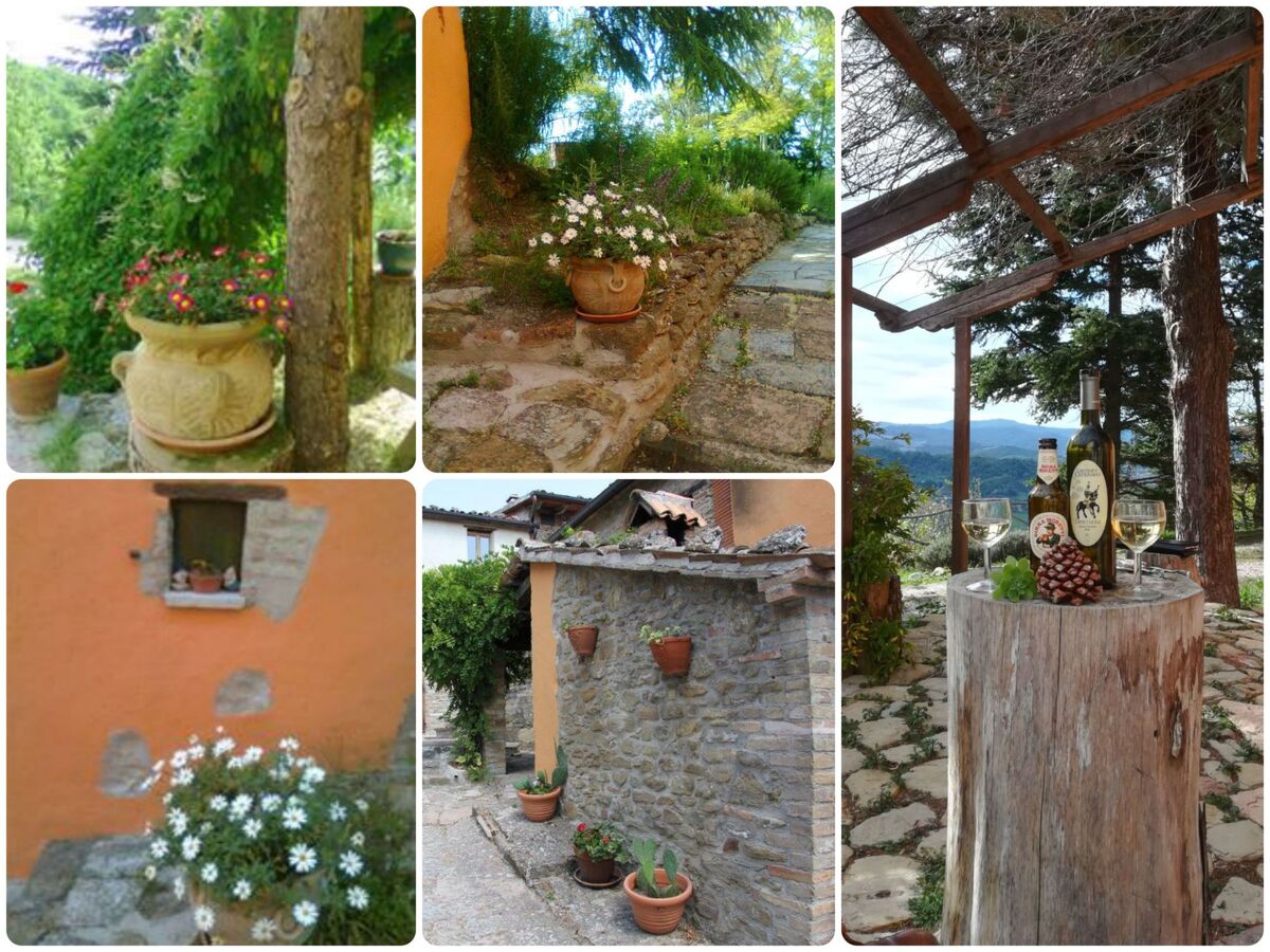 Ca Piero - Borgo médiéval 7 chambres, piscine, 3 hectares - Photo 26