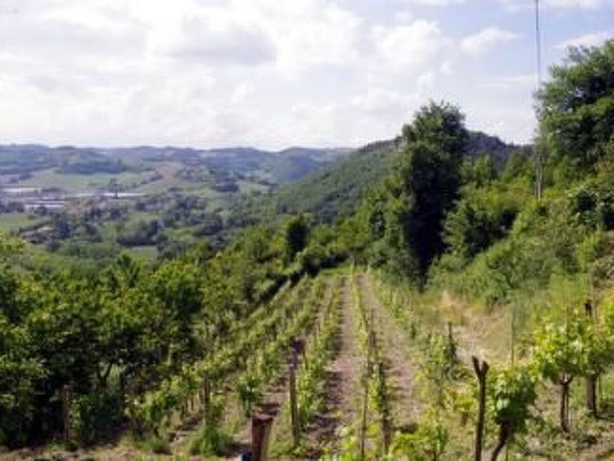 Maison rurale 5 chambres avec 2 piscines à Urbino - Photo 12