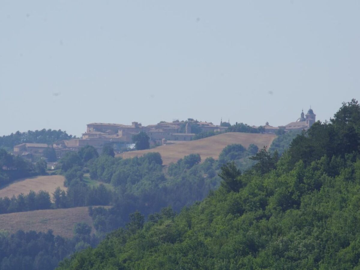 Maison rurale 5 chambres avec 2 piscines à Urbino - Photo 13