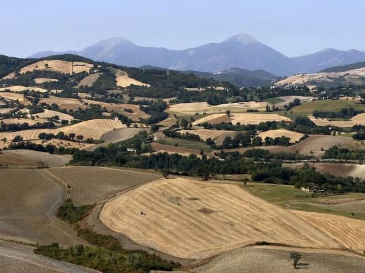 Ca' Piero – Hameau médiéval du 14e s. près d'Urbino - Photo 35