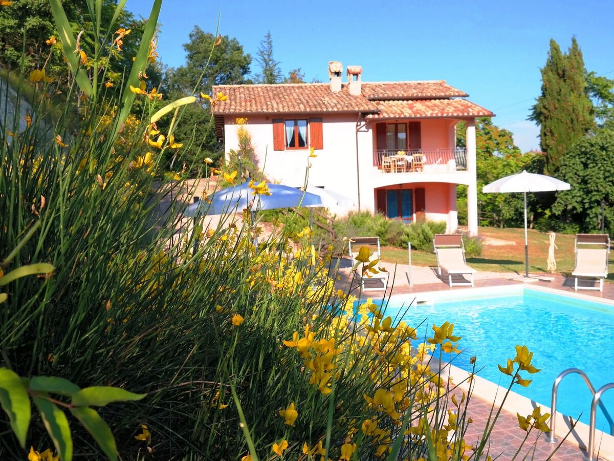 La Panoramica – Maison 6 chambres avec piscine privée - Photo 6