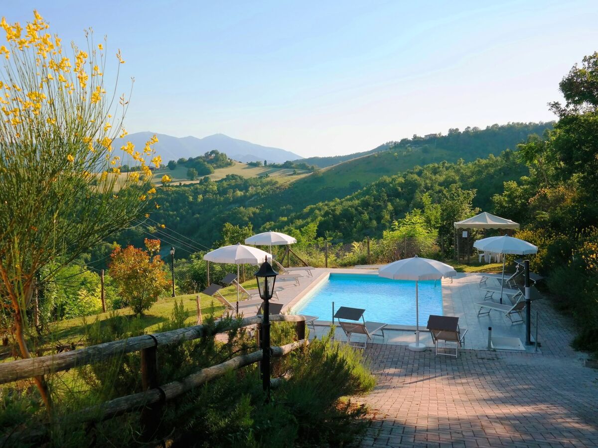 La Panoramica – Maison 6 chambres avec piscine privée - Photo 11