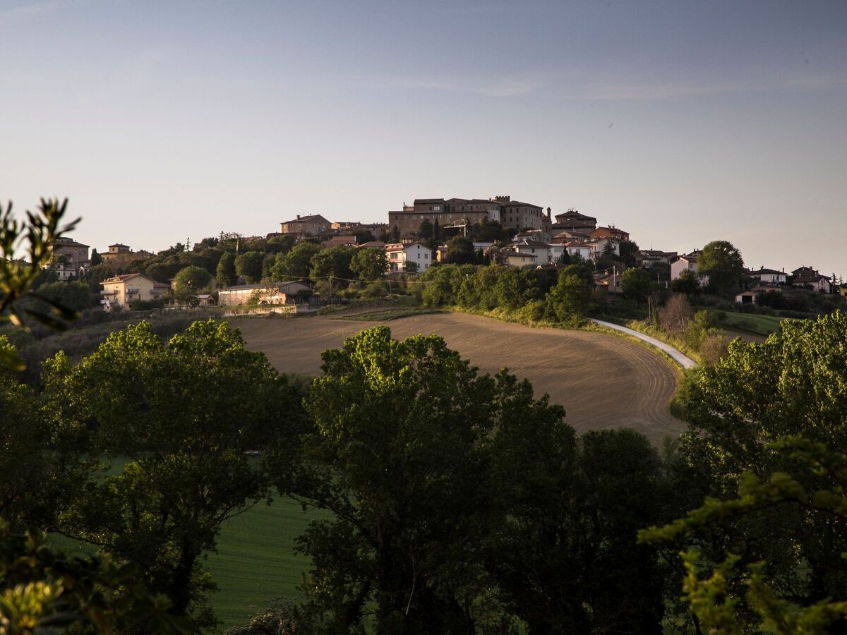 Villa degli Oleandri : maison avec piscine privée à Ostra - Photo 37
