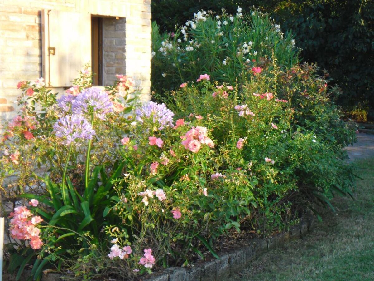 Villa degli Oleandri : maison avec piscine privée à Ostra - Photo 38
