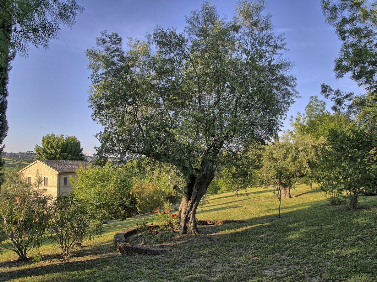 Villa Casa della Musica, 4 chambres, piscine et jardin - Photo 34