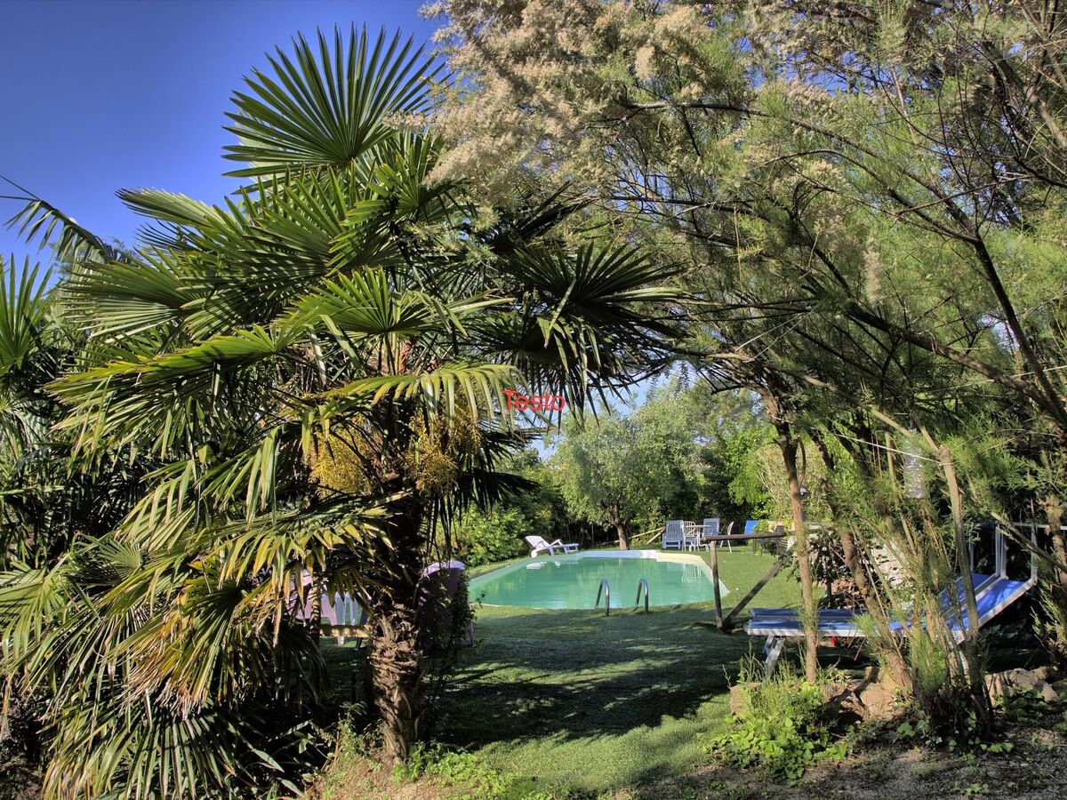 Villa Casa della Musica, 4 chambres, piscine et jardin - Photo 35