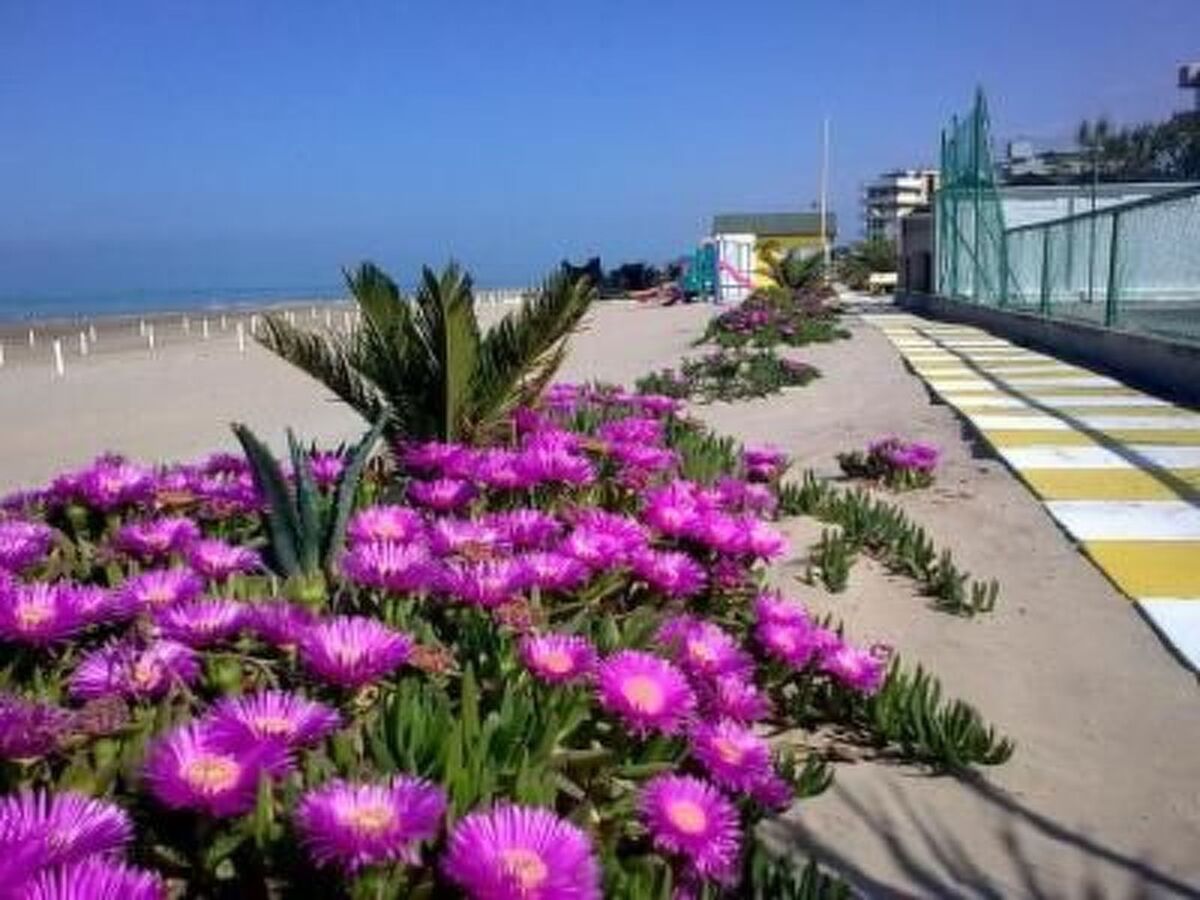 Appartement Mare Blu 3, pieds dans le sable à Fano - Photo 10