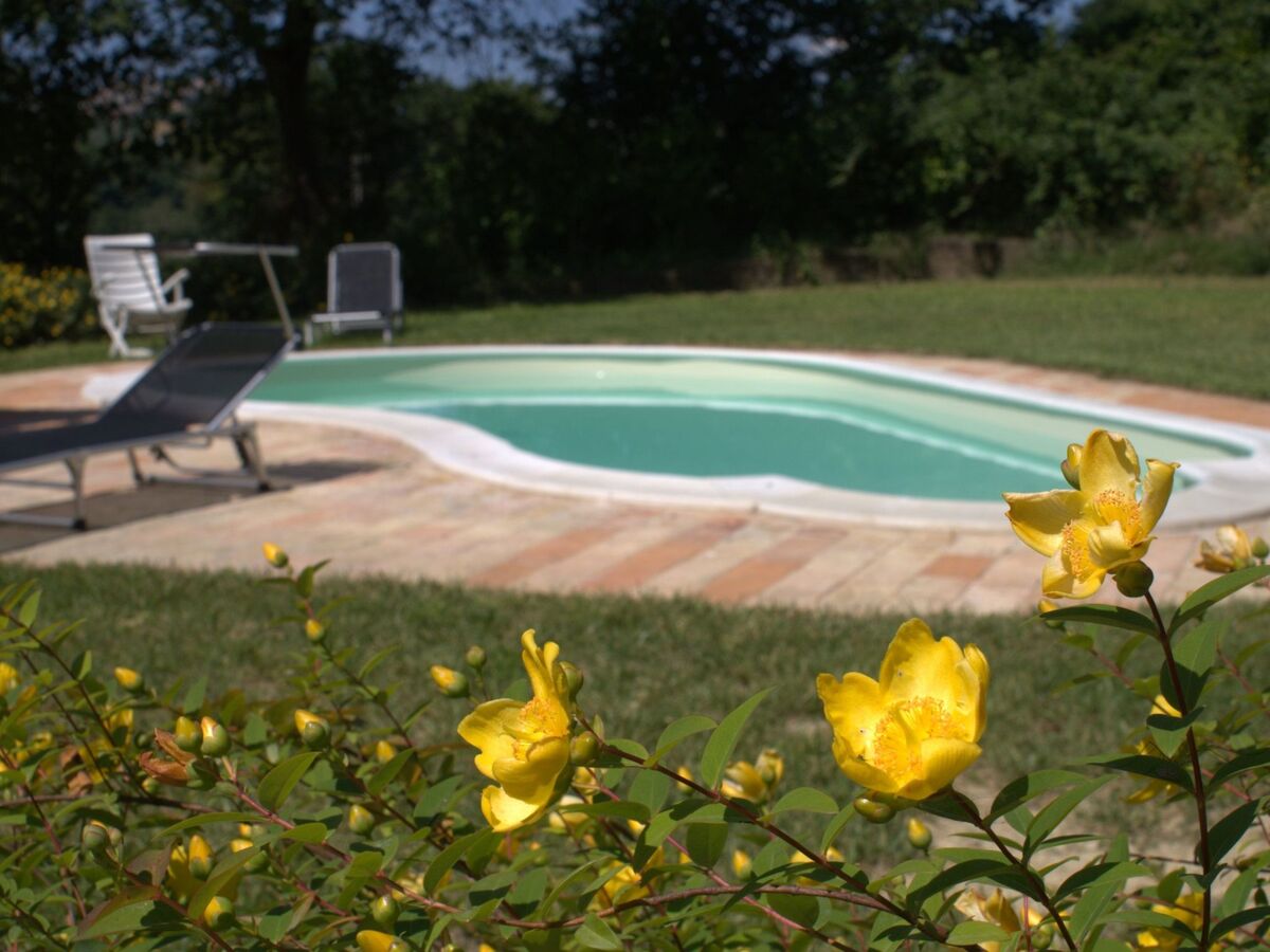 Casa il Girasole - Maison de campagne avec piscine à Macerata - Photo 3