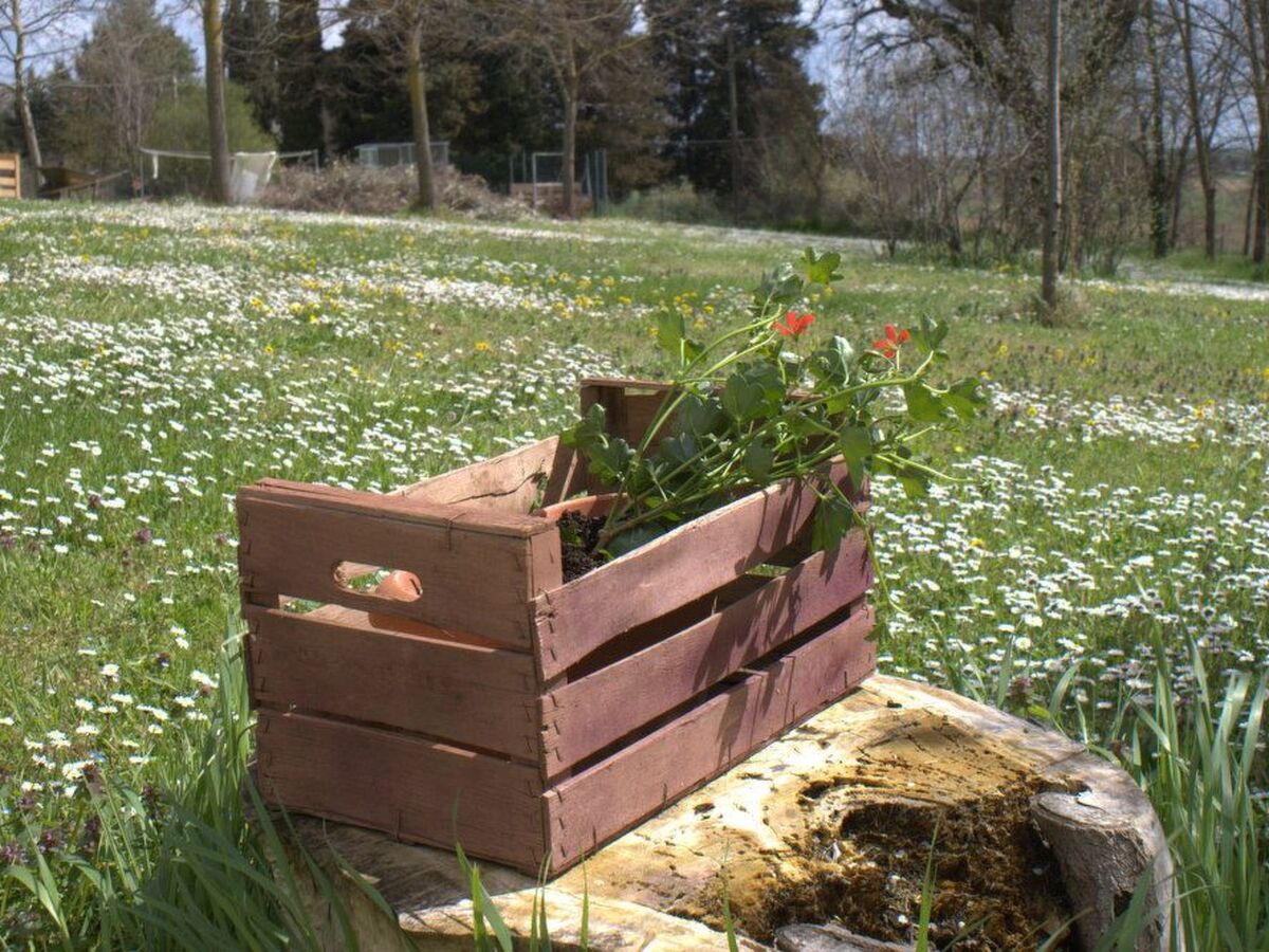 Casa il Girasole - Maison de campagne avec piscine à Macerata - Photo 6
