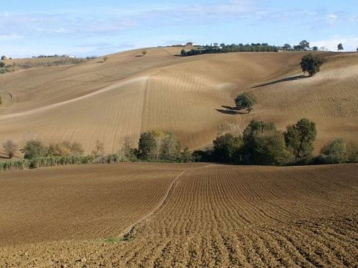 Casa il Girasole - Maison de campagne avec piscine à Macerata - Photo 8