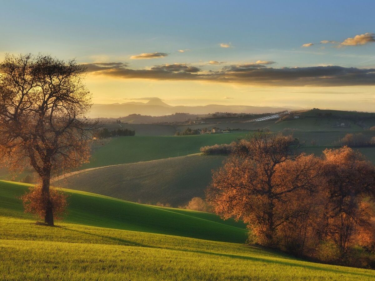 Casa il Girasole - Maison de campagne avec piscine à Macerata - Photo 17