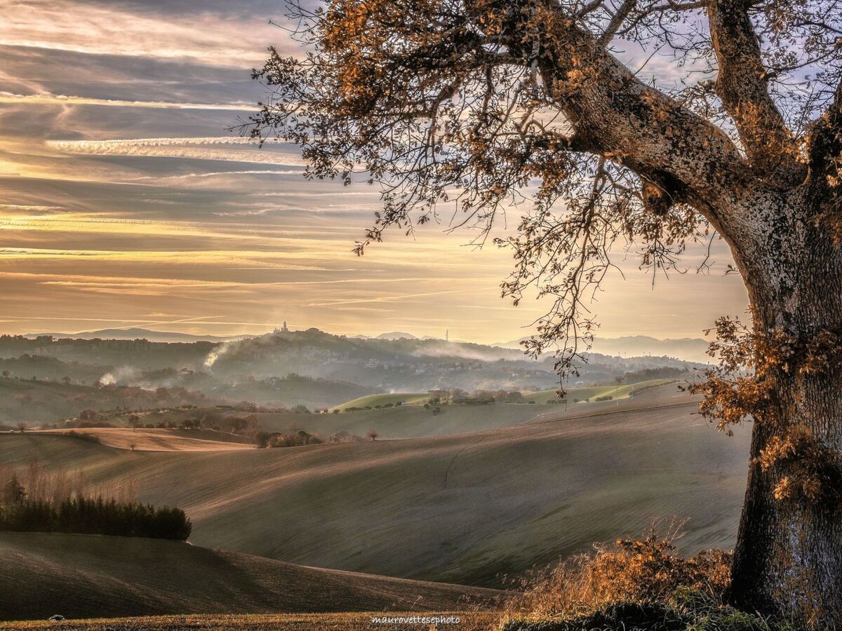 Casa il Girasole - Maison de campagne avec piscine à Macerata - Photo 21