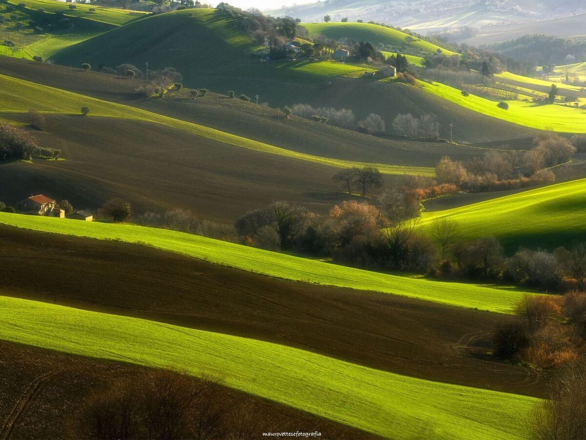 Casa il Girasole - Maison de campagne avec piscine à Macerata - Photo 22