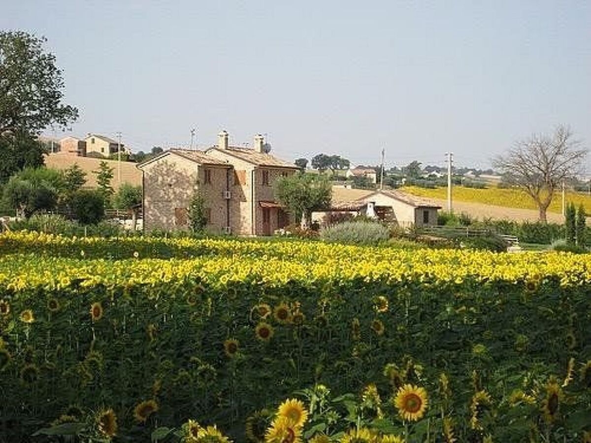 La Cascina del Poeta – Maison 12 personnes, piscine d'eau salée - Photo 4