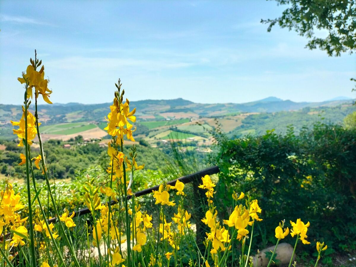 Appartement panoramique en pierre, Cessapalombo - Photo 23
