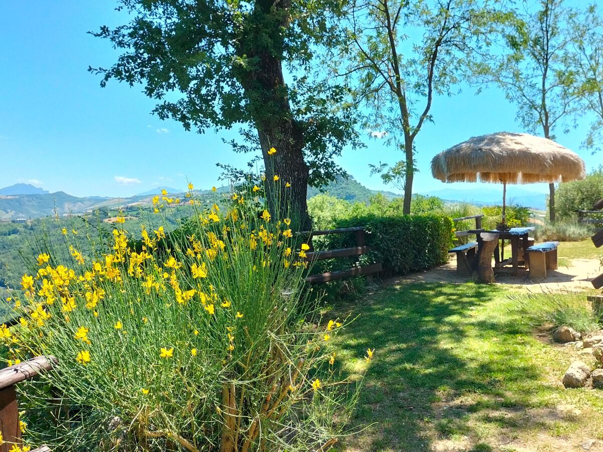 Appartement 120 m² vue Sibillini-Adriatique à Cessapalombo - Photo 17