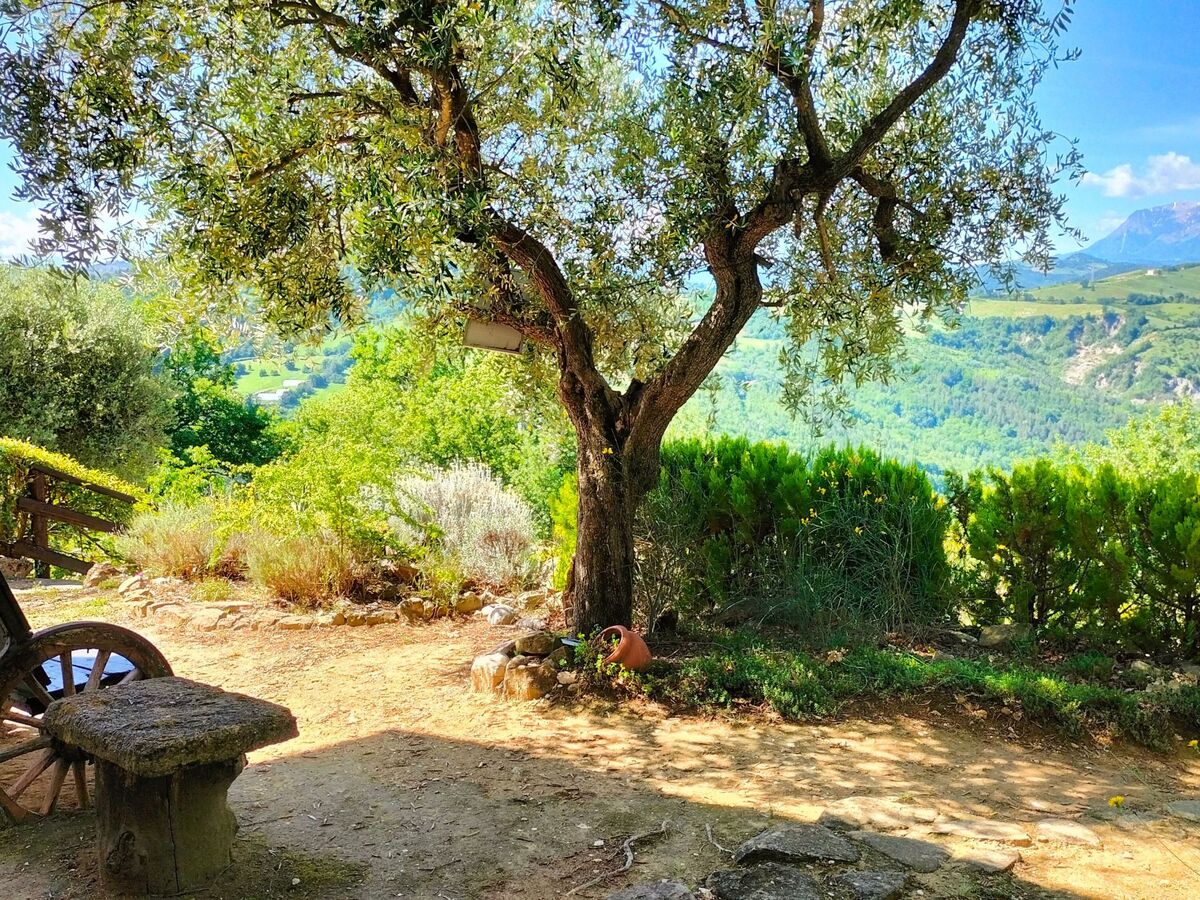 Casale Romeo e Giulietta - Maison 10 pers., piscine, Marches - Photo 33