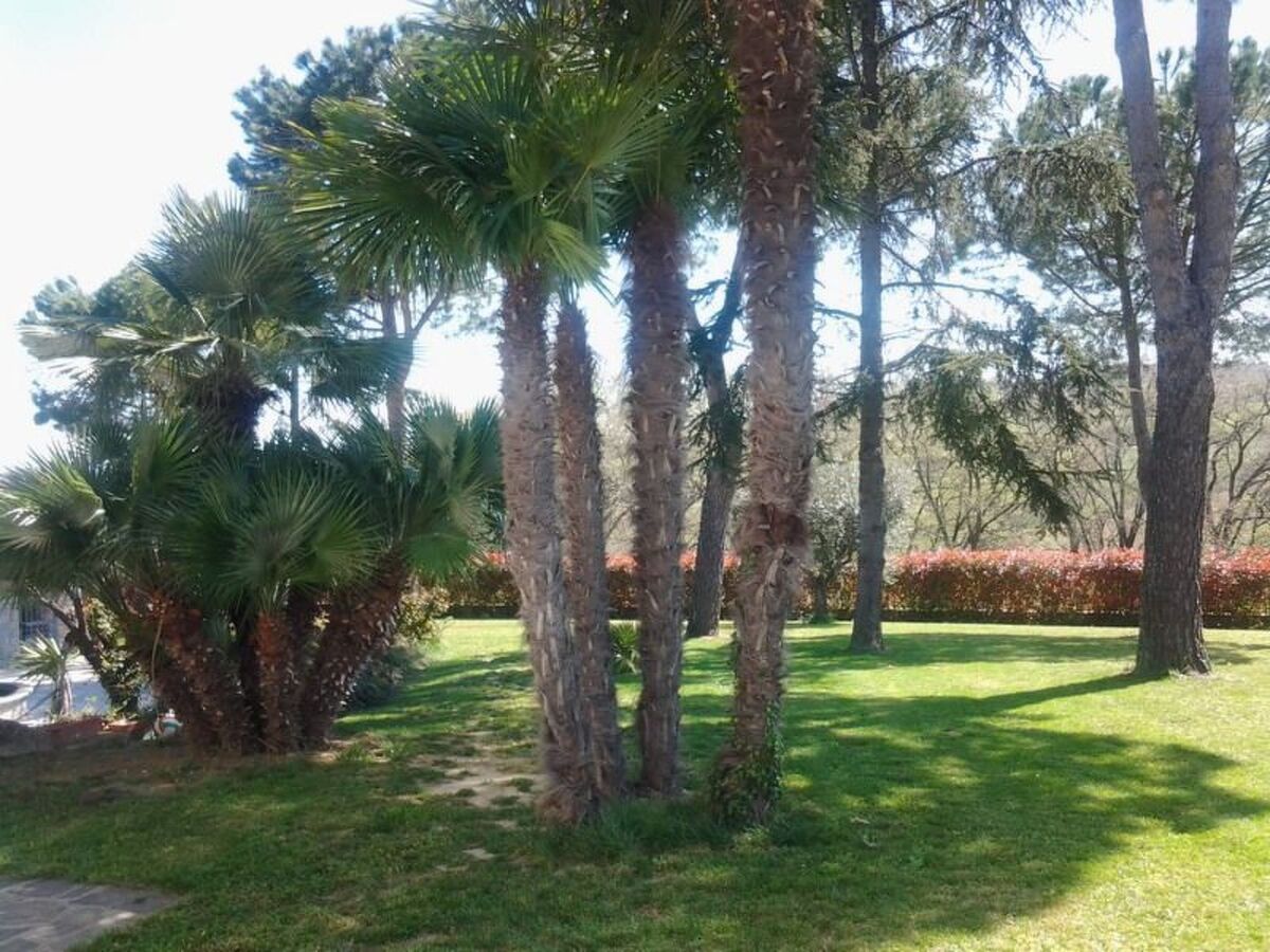 Villa Rosa, maison 8 personnes avec piscine privée à Petriolo - Photo 6