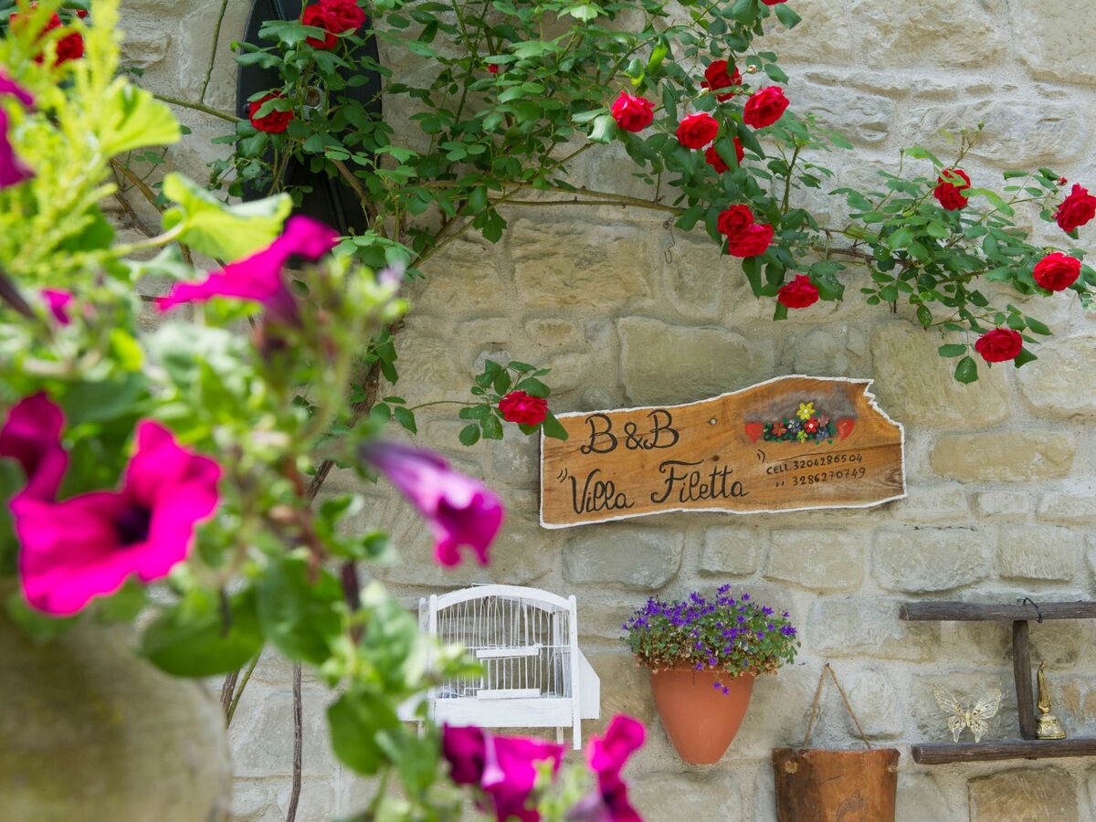 Flower Room à Roccafluvione, 25m² avec balcon - Photo 22