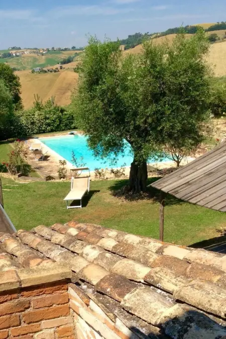 Villa degli Ulivi - Maison 14 personnes, piscine privée : photo 3