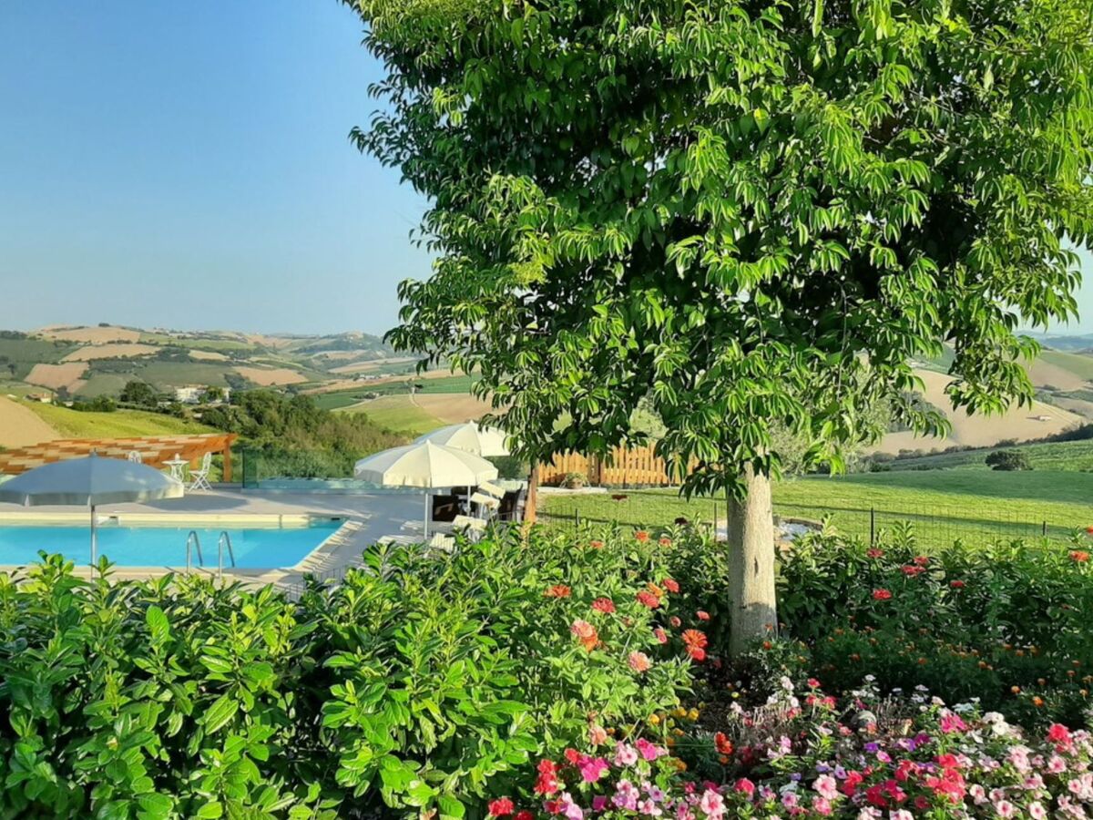 Villa Matilde à Carassai : 4 chambres, pool 9x4m, parc privé - Photo 6
