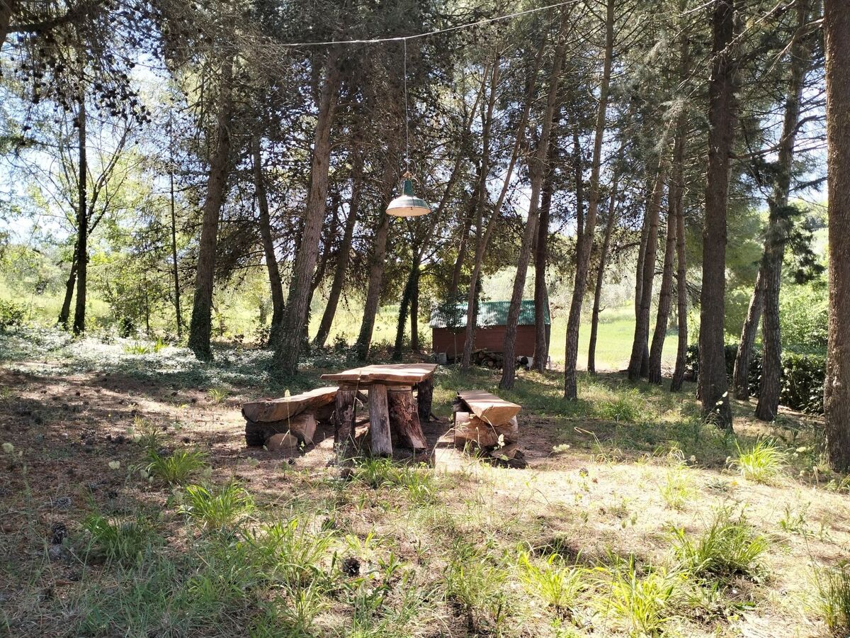Casolare il Vecchio Forte - Maison 9 pers. Alba Adriatica - Photo 64