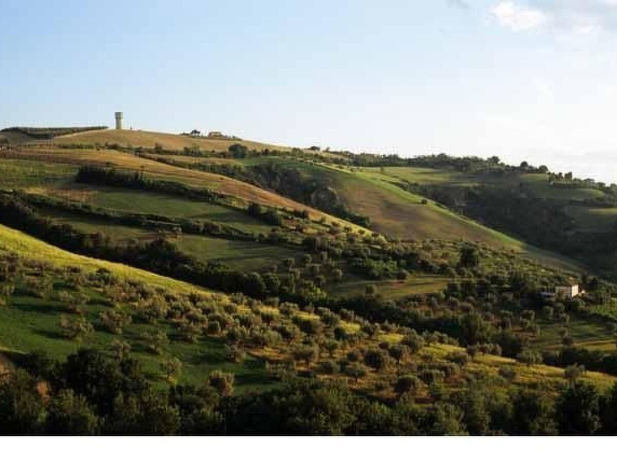 Appartement à la ferme Notaresco, vue mer et jardin - Photo 6