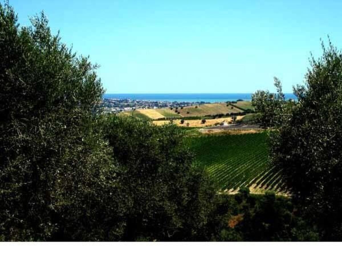 Appartement à la ferme Notaresco, vue mer et jardin - Photo 7