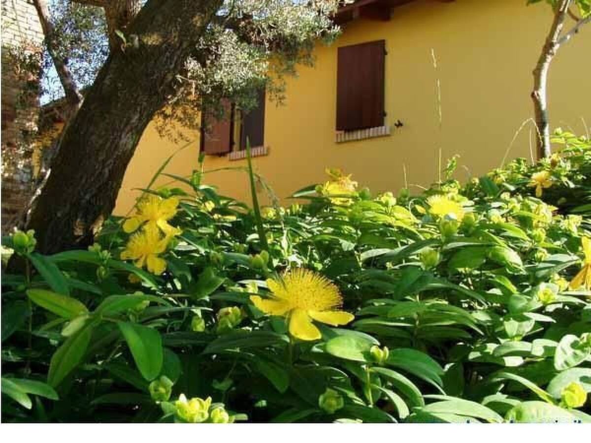 Appartement à la ferme Notaresco, vue mer et jardin - Photo 11