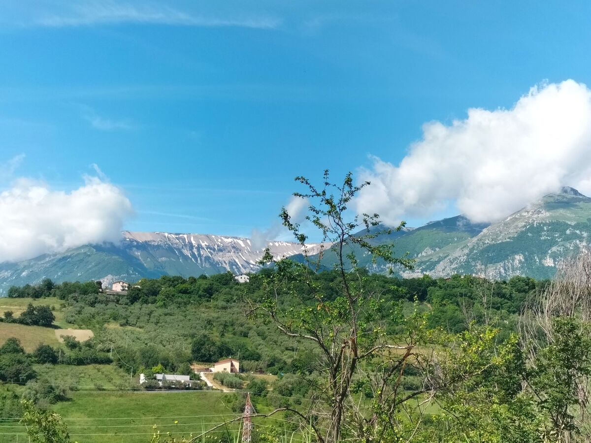Villa Presentosa d'Abruzzo : 12 pers, 2 appartements indépendants - Photo 48