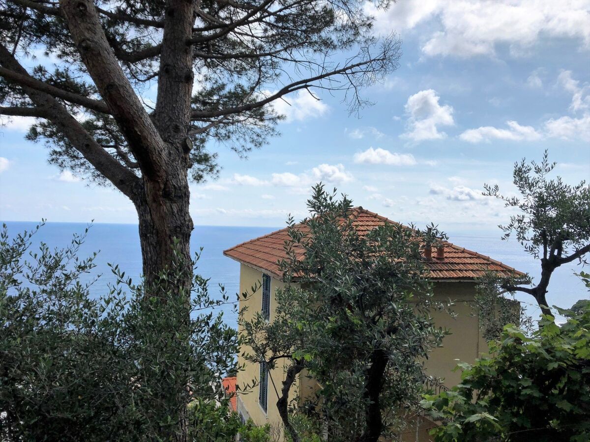Appartement Pieve Ligure, terrasse vue golfe - Photo 17