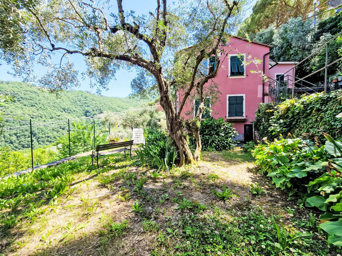 Maisonette 3 chambres avec jardin à Camogli - Photo 27