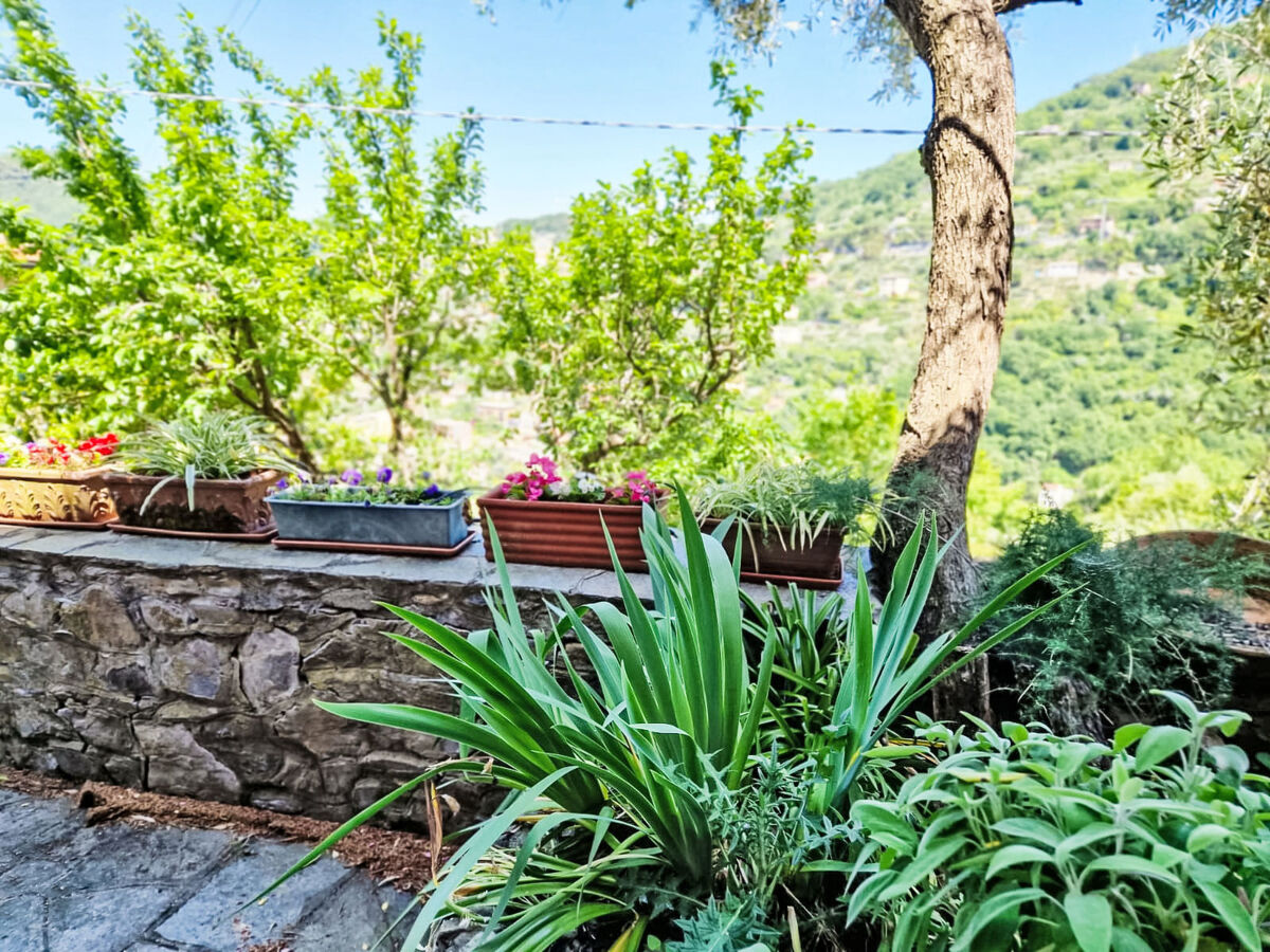 Maisonette 3 chambres avec jardin à Camogli - Photo 29