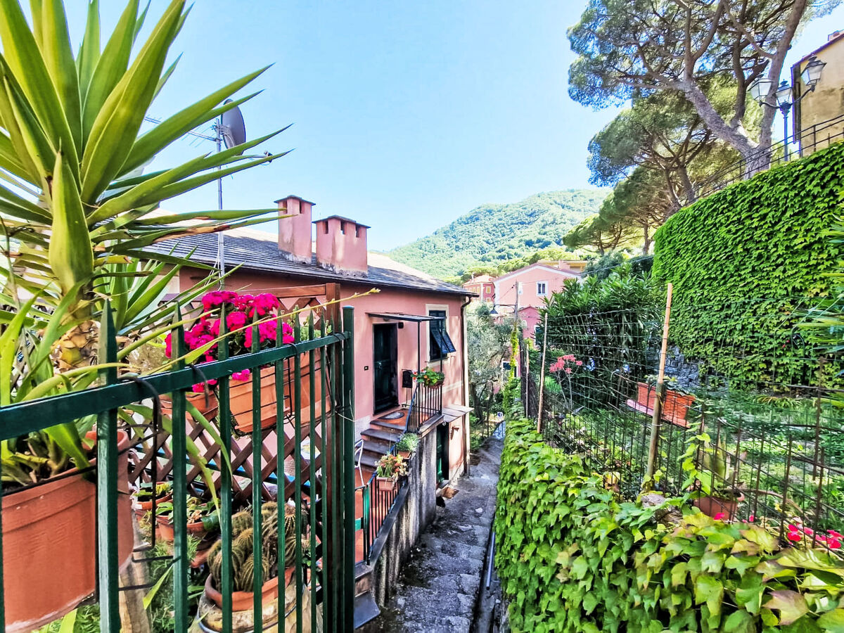 Maisonette 3 chambres avec jardin à Camogli - Photo 37