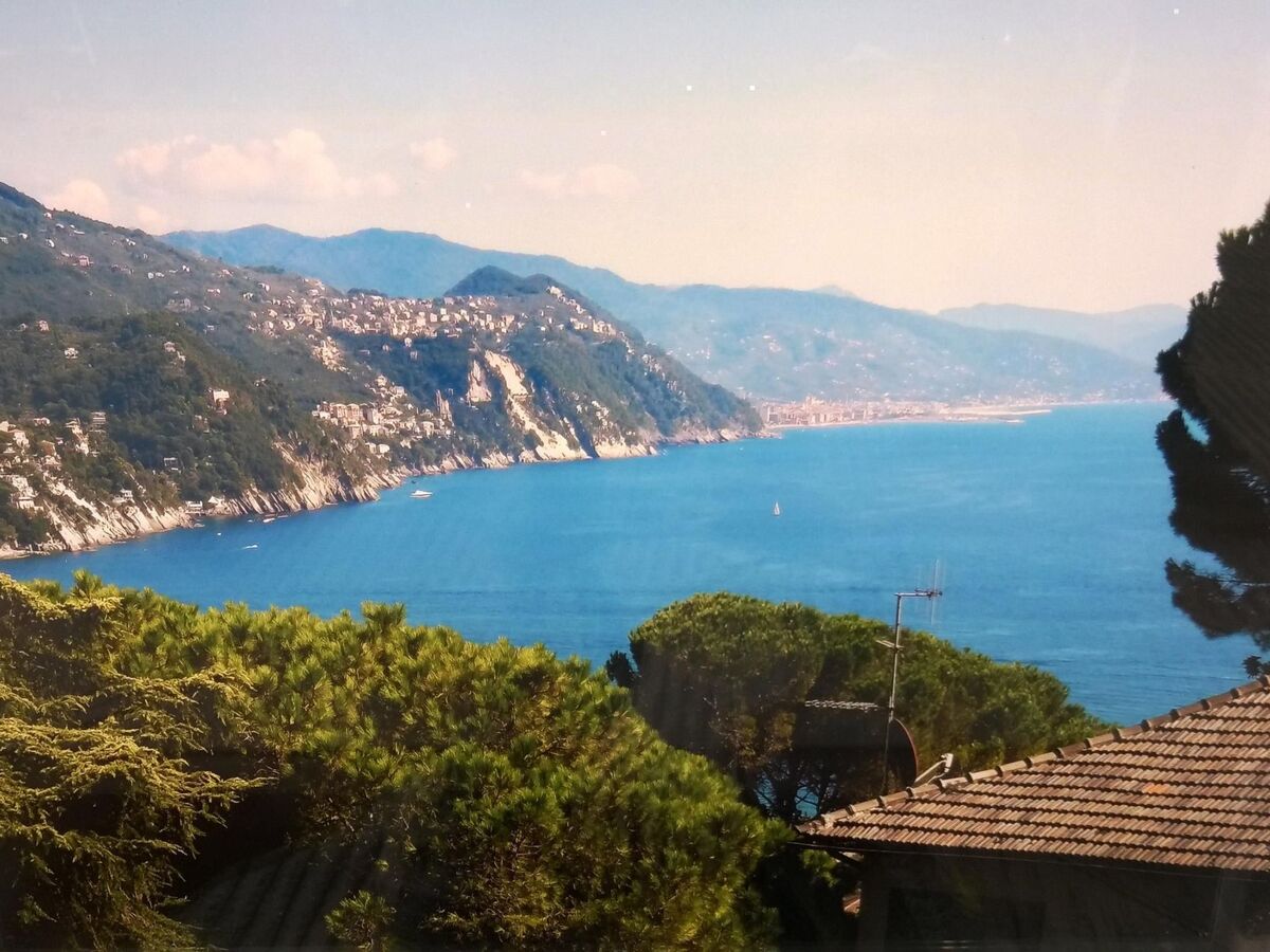 Appartement 2 ch, jardin privé exotique à Rapallo - Photo 8