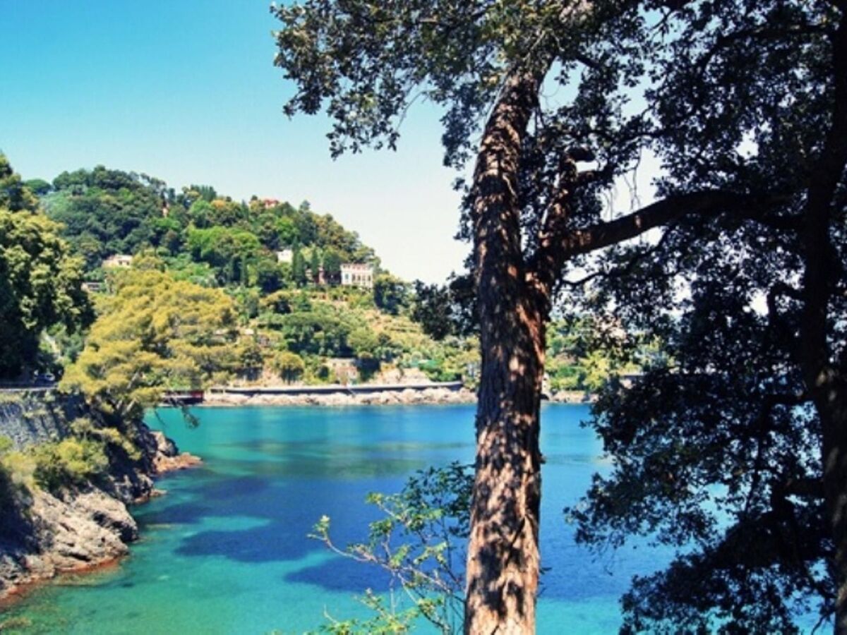 Appartement 2 ch, jardin privé exotique à Rapallo - Photo 21